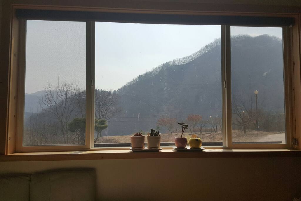 겨울이지나가는 창 밖 풍경입니다