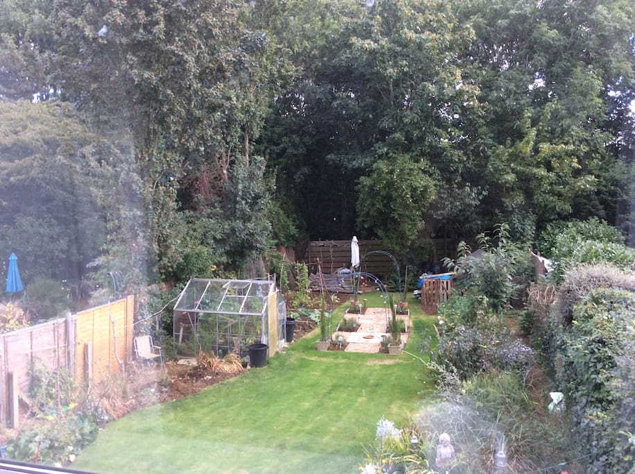 The rear garden.