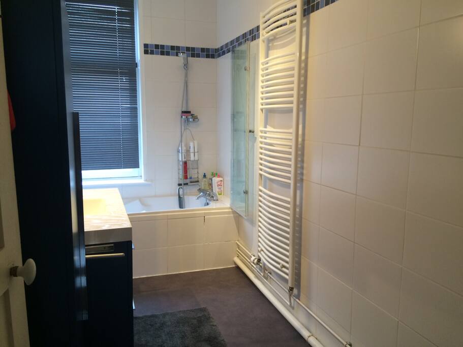 Baignoire/douche
(Bath tub/shower)