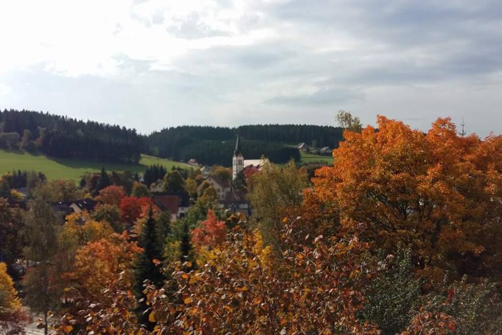 Blick von der Terrasse