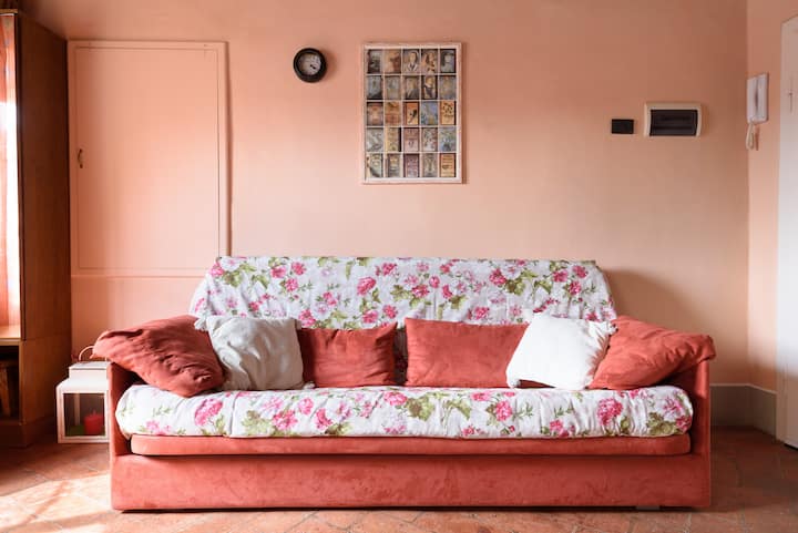 סלון עם ספה נפתחת. 