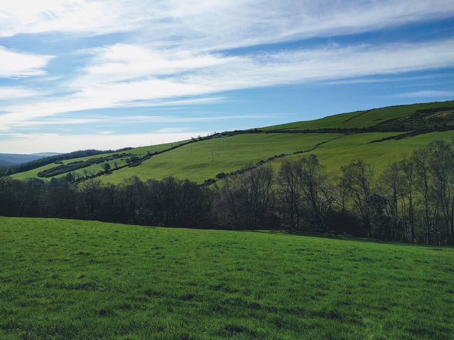 View from the bedroom