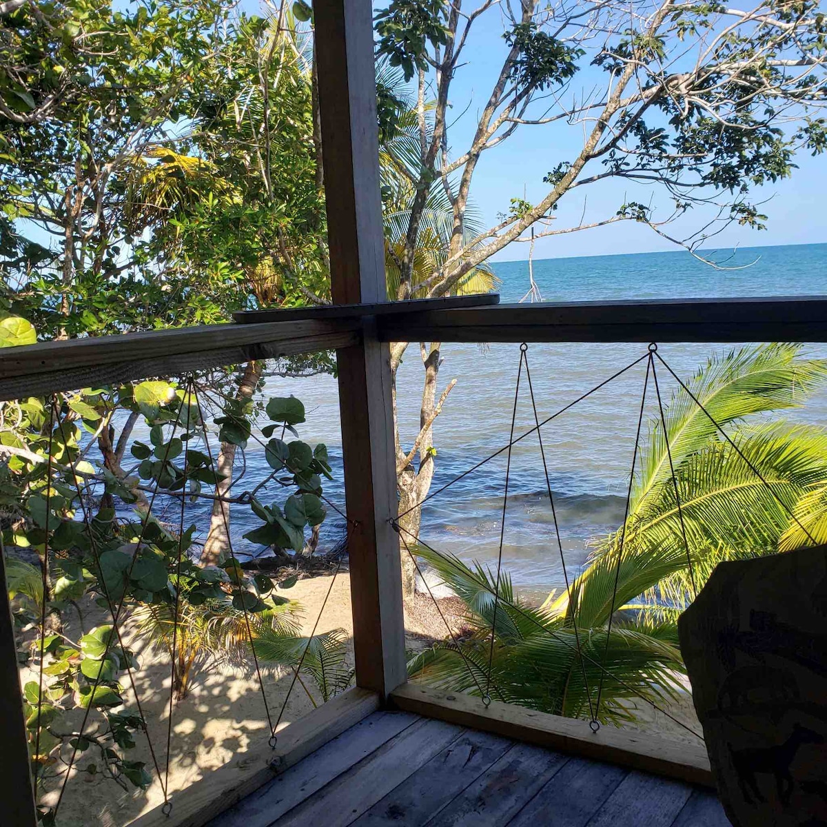 A view from a wooden porch features lush green trees and tropical plants, with a clear sight of the sandy beach and gentle waves of the sea. The bright sky reflects off the water, creating a serene coastal atmosphere.