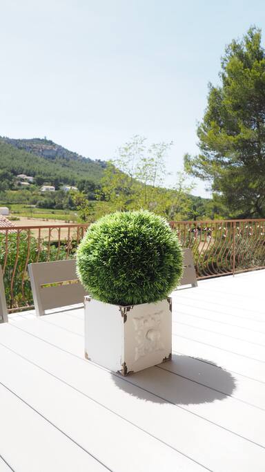 Grande terrasse de 60m², table pour 12 personnes