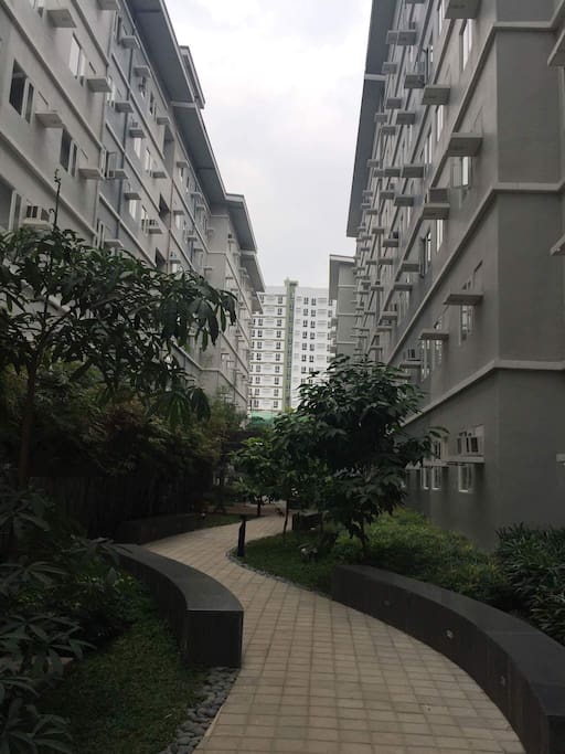 view of the garden