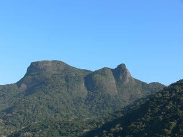 3 rooms, beach and pool, next to Leblon gallery image 2