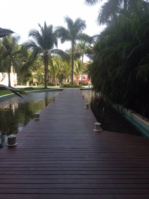 Acceso a las albercas y a la playa