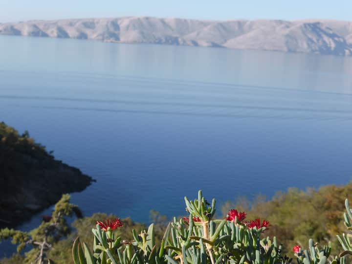 Apartment Andro With The Sea View - Baška