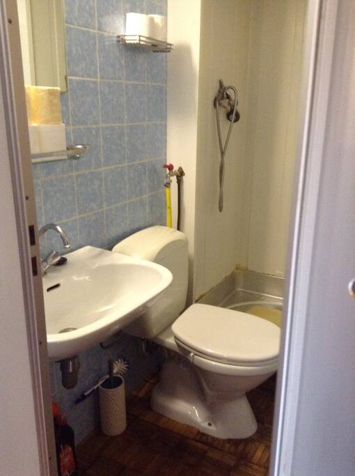 Kleine badkamer met toilet, lavabo en douche.