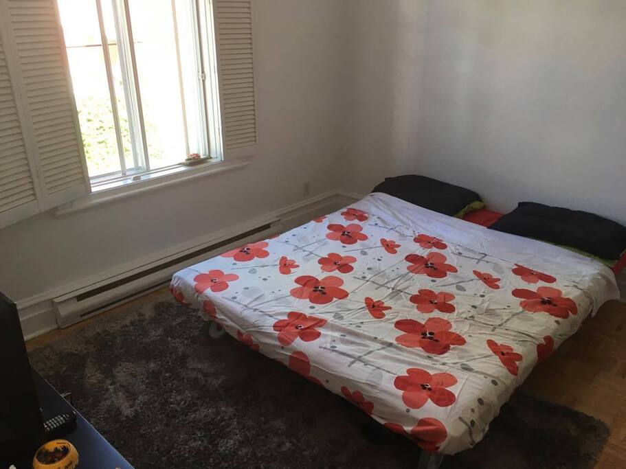Bedroom with comfortable queen sized sofa bed