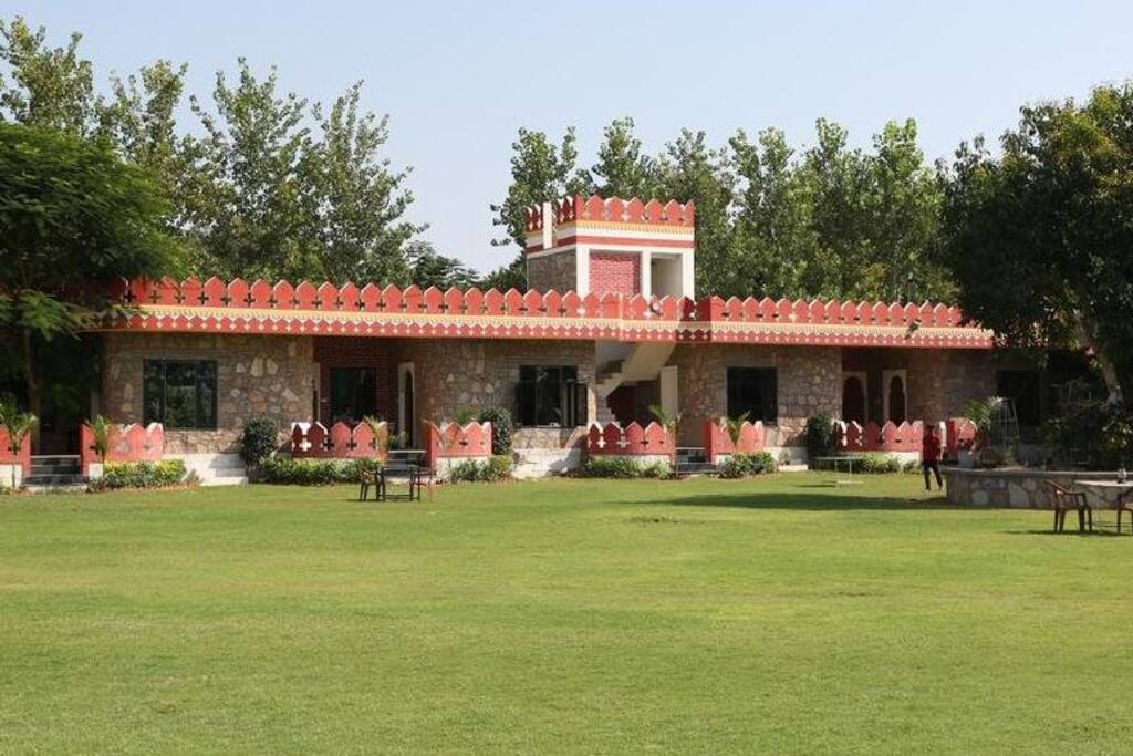 Garden