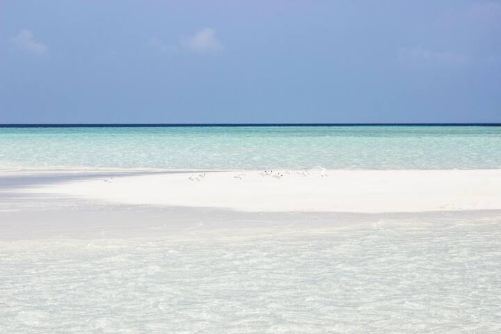 Holiday COTTAGE, Thoddoo Island, Maldives