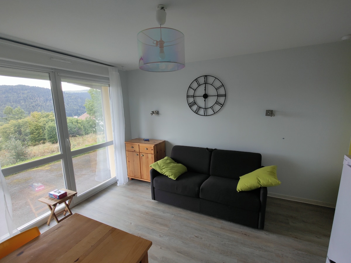 منطقة المعيشة