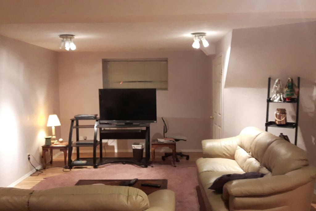 Downstairs living room shared with one young man