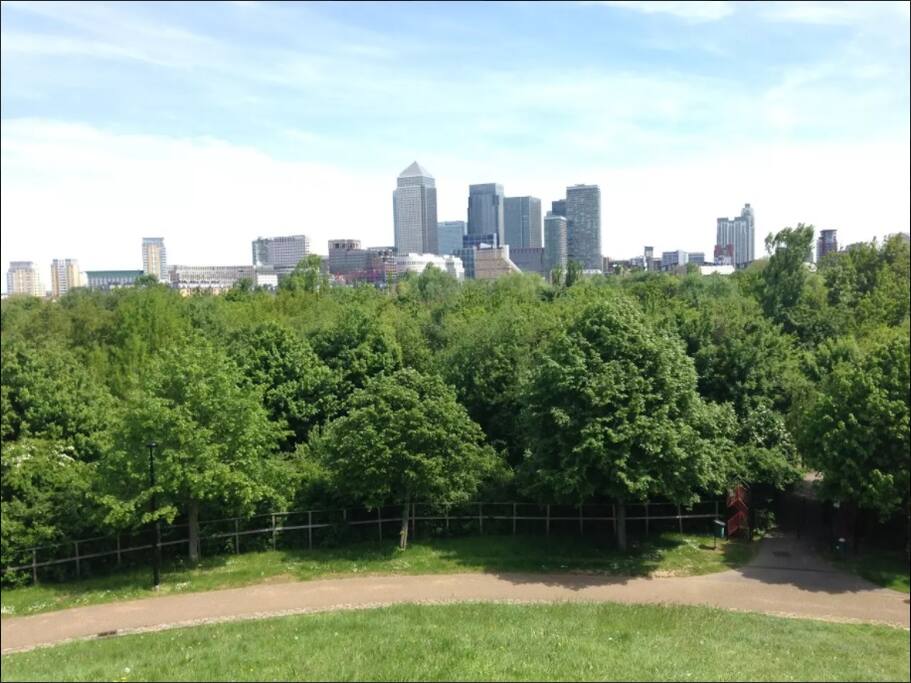 City view from local park