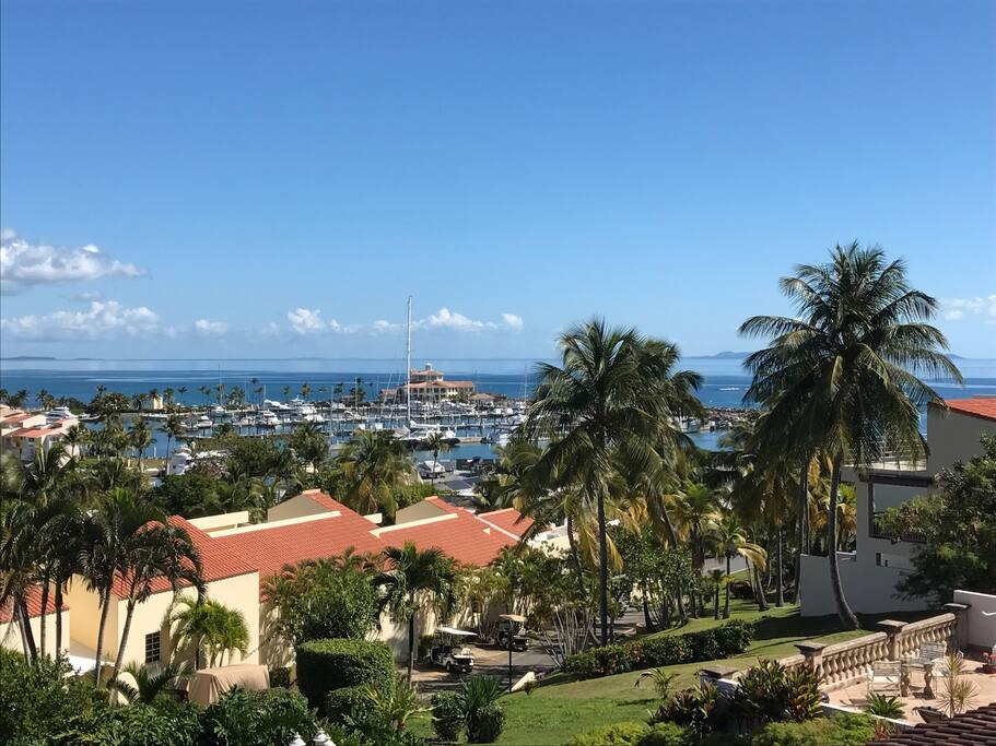 Bedroom view