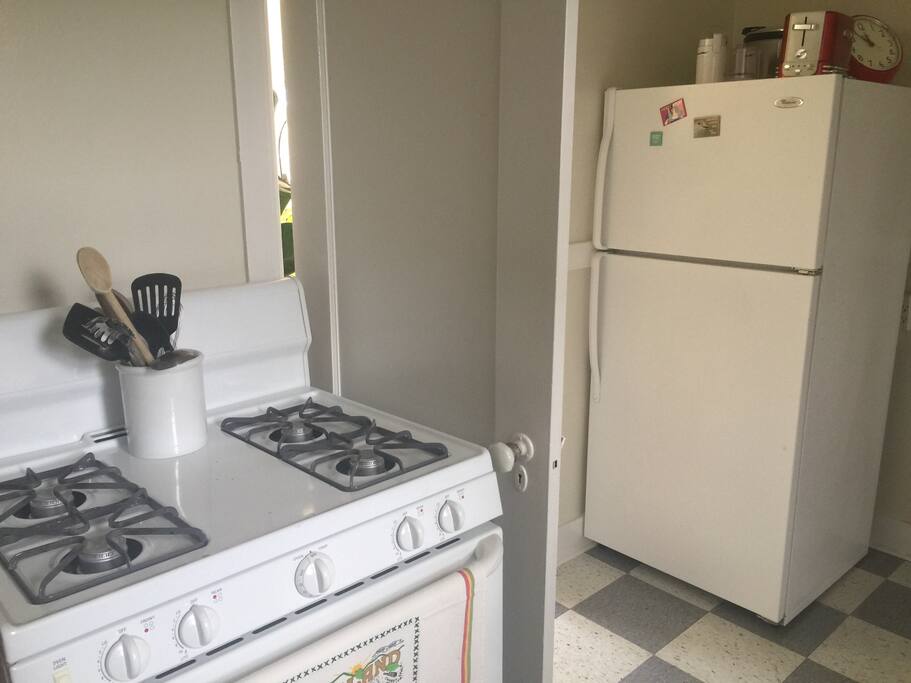 Gas stove and a decent size fridge