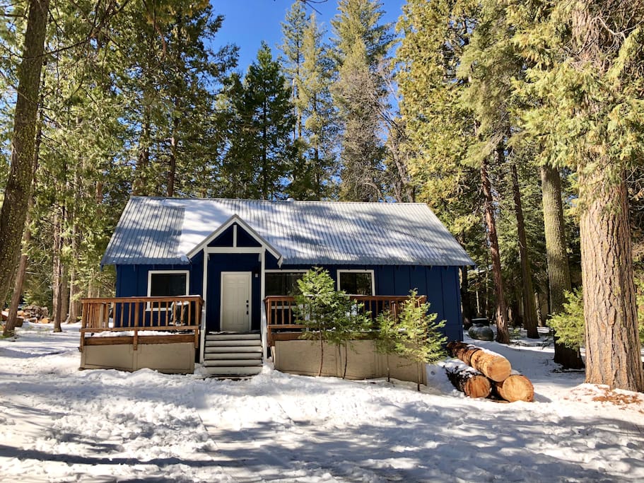 The Cabin
