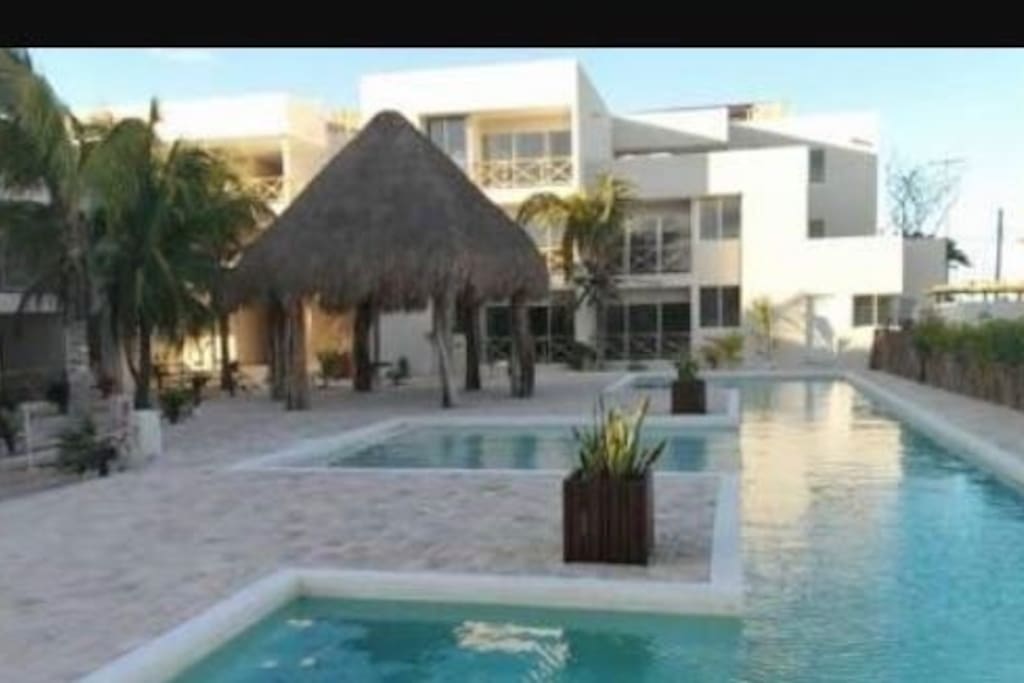 Pool & Patio