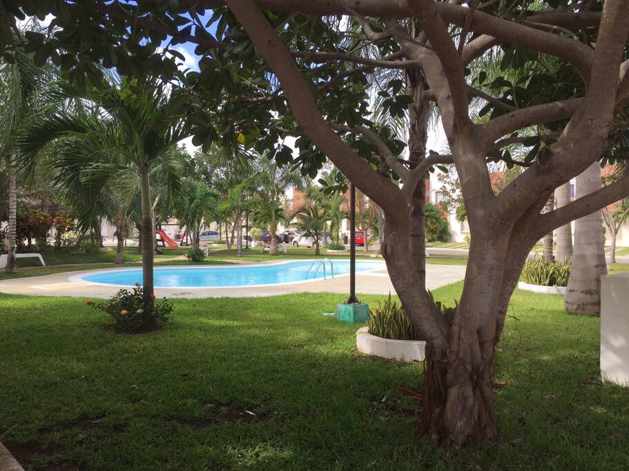 Pool/piscina