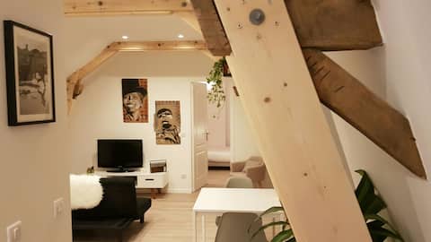 Le Petit Nid, very beautiful apartment, Lebas Park