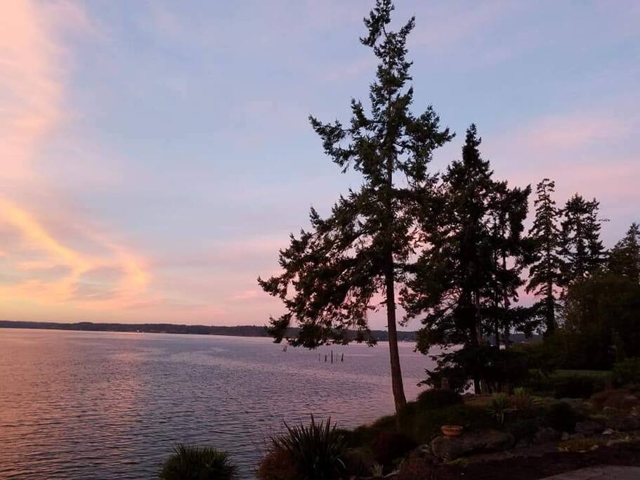 Backyard view.