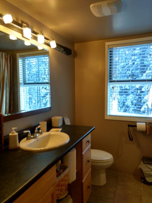 Main Bath downstairs