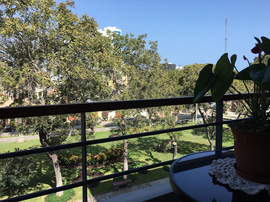 La hermosa vista desde el balcón <3