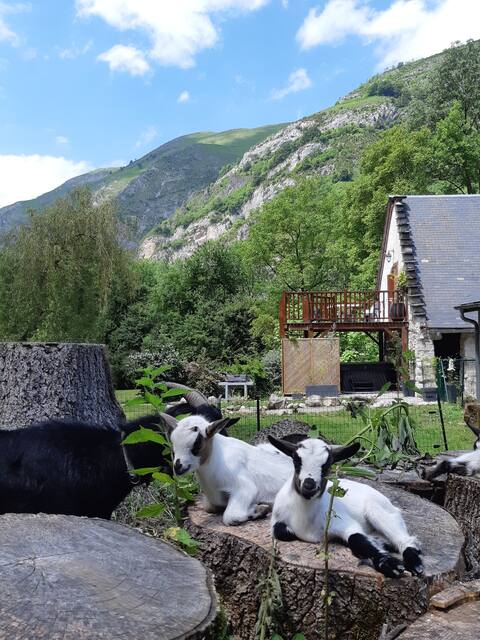 Chalet 2 bedroms 2-6 person