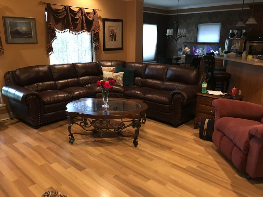 Living Room View