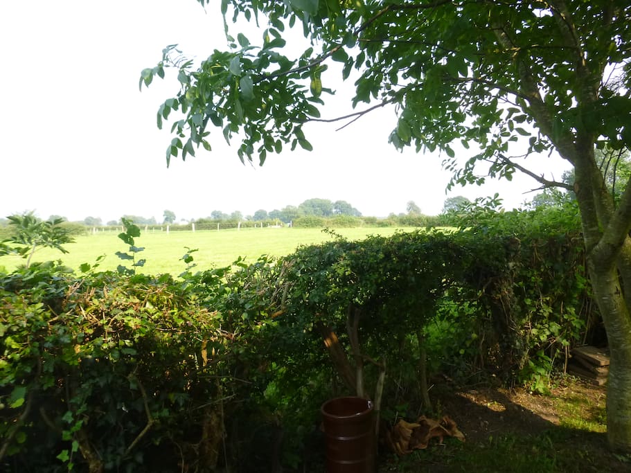 Blick aus der Eingangstüre