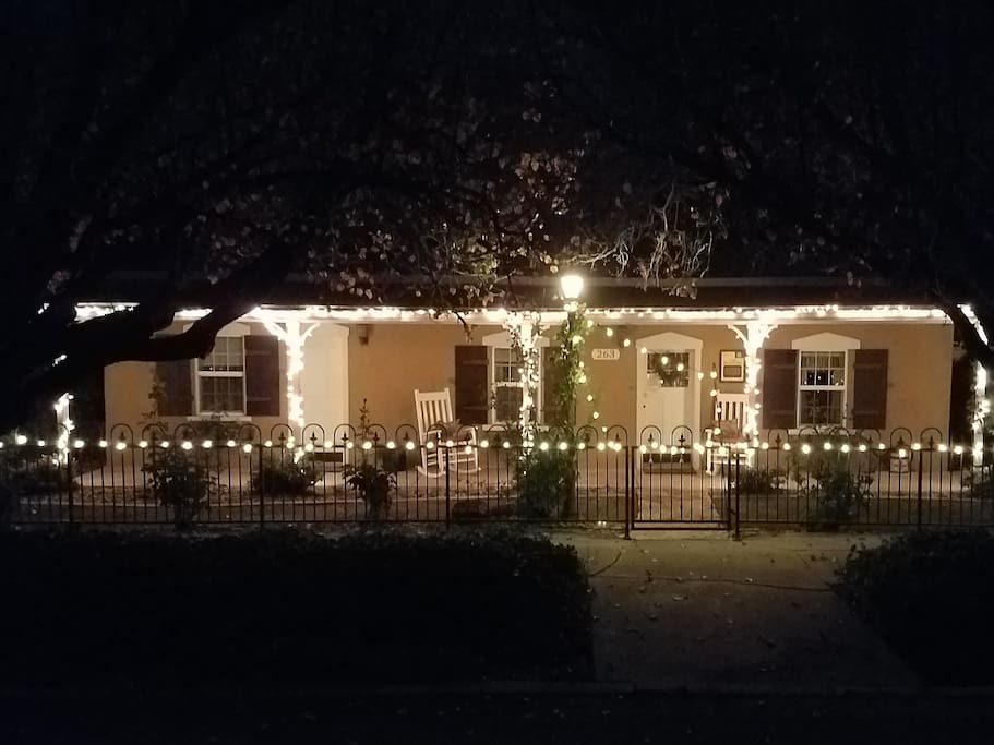 Night shot at Christmas
