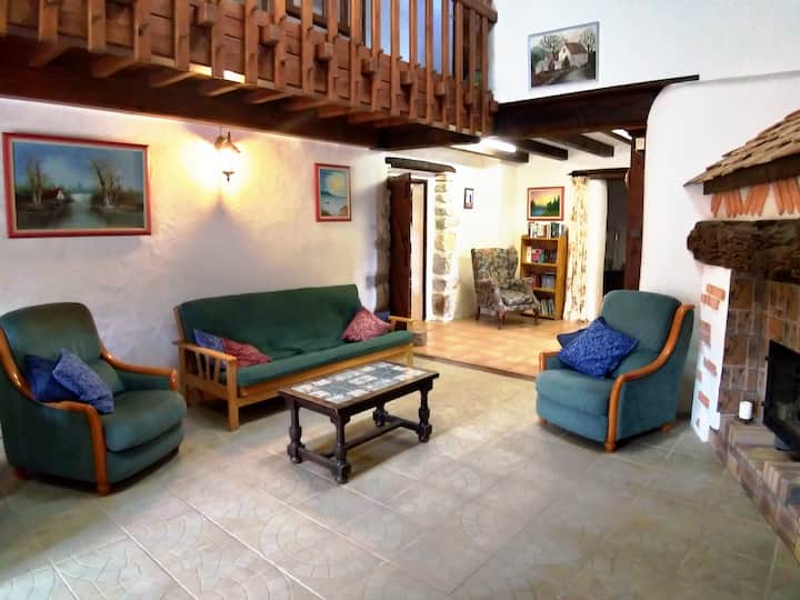 Sala de estar con sofá cama e inserto chimenea de leña.