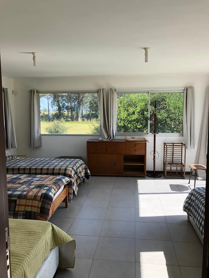 Habitación 1