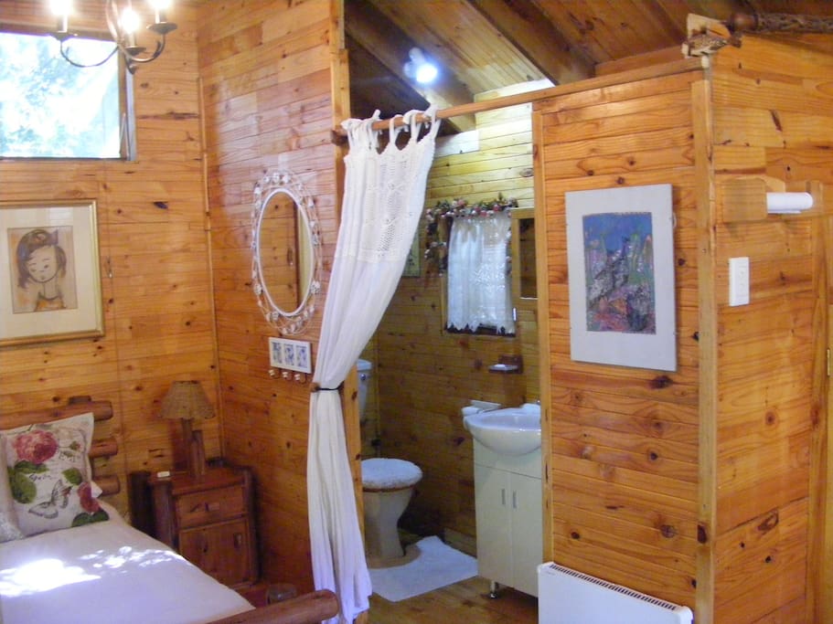 Shower,basin and toilet