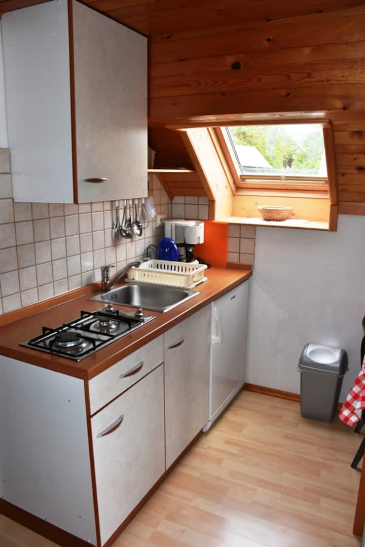 Privat Room With Kitchen - Stara Fužina