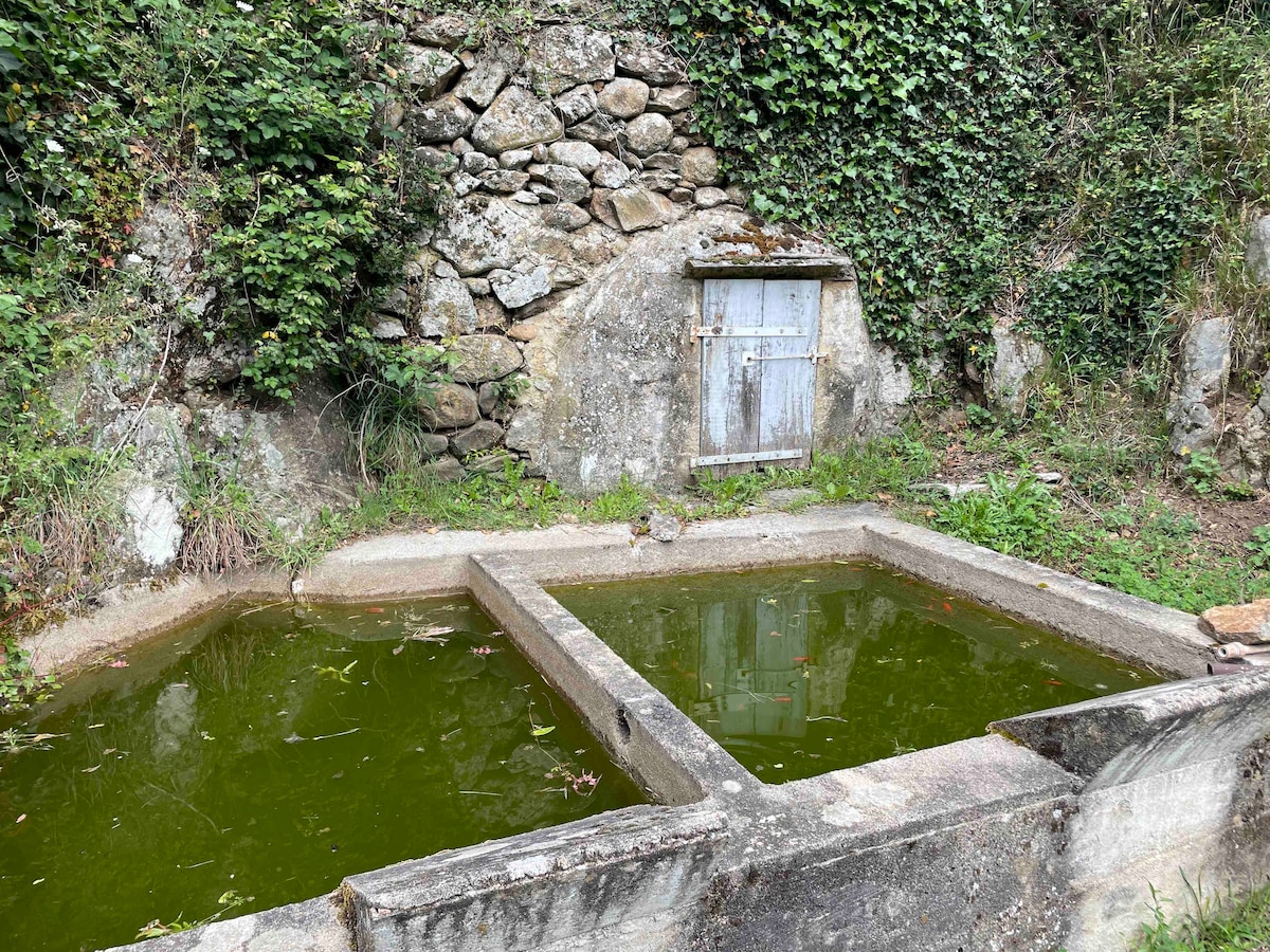 Two rectangular pools, partially filled with green water, are set against a backdrop of a stone wall overgrown with ivy. A weathered wooden door is visible in the stone structure, suggesting an entrance to a hidden space. The area is lush with greenery.