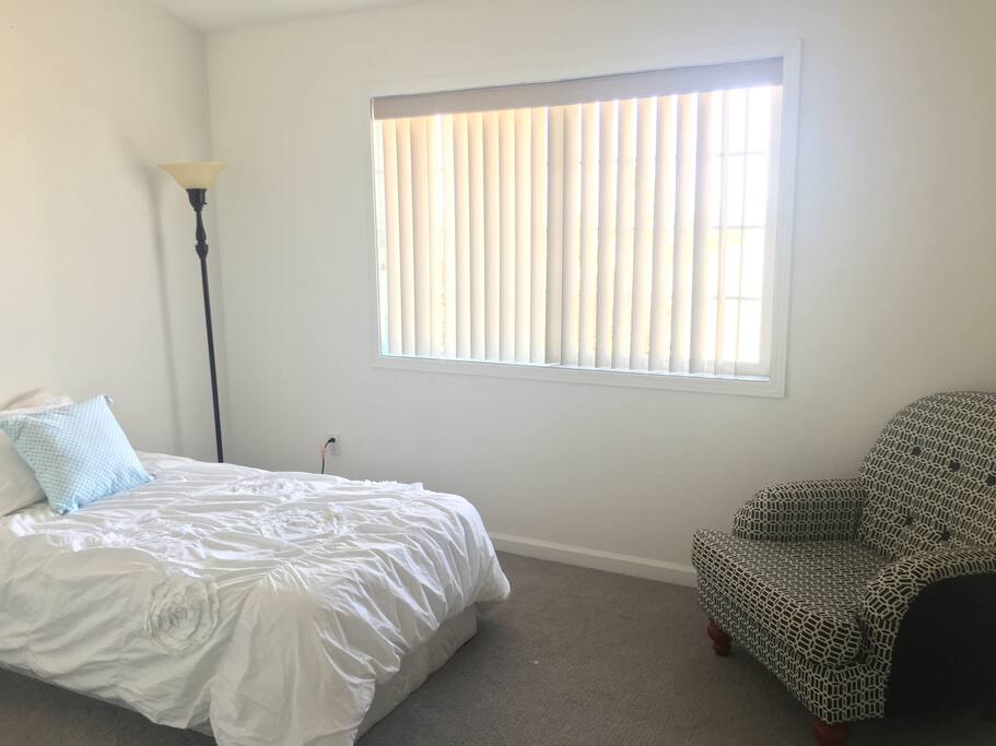 Window with a view of mt shasta. Brand new plush carpet
