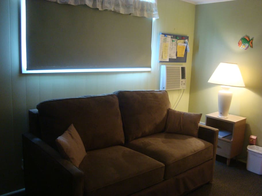 Queen sized bed that folds into a couch.