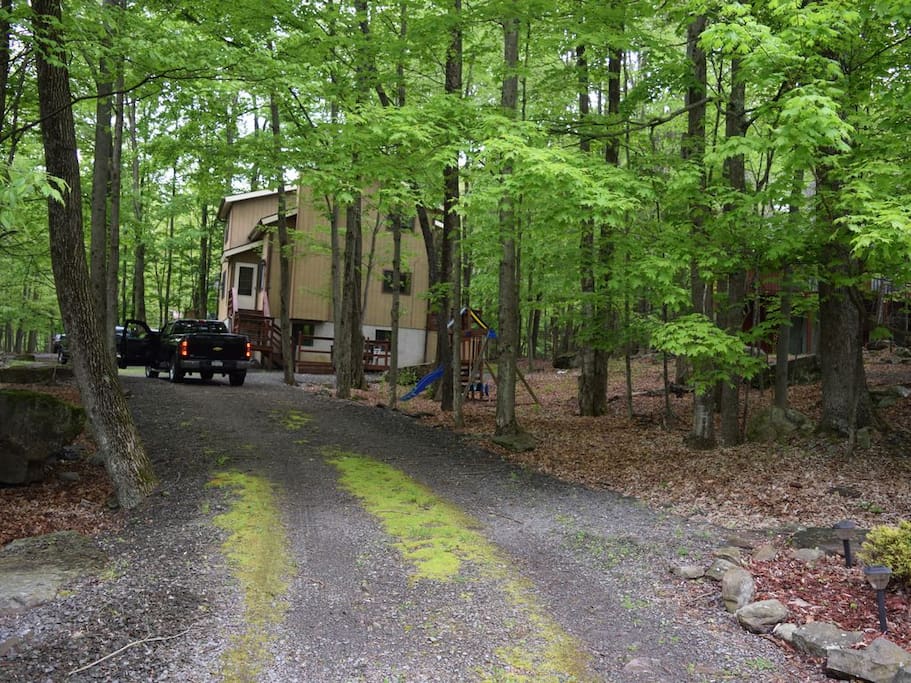 Driveway to a Private Natural Setting