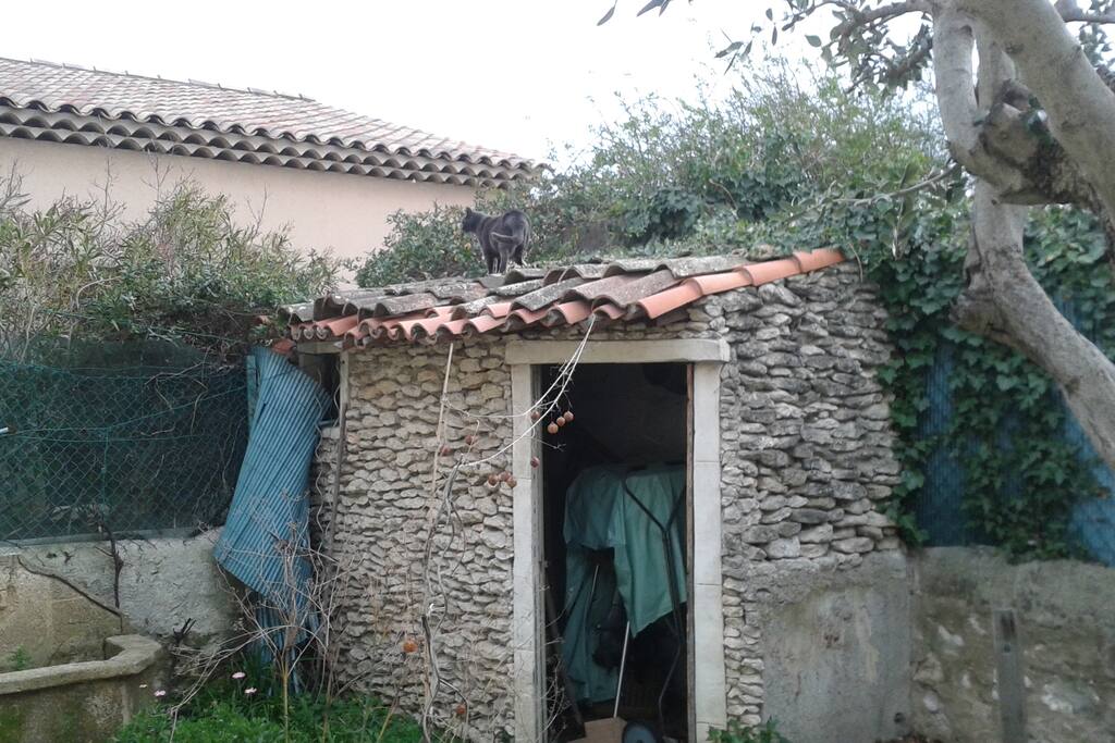 Petit cabanon
