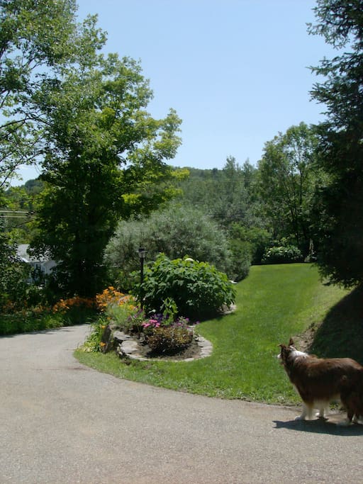 Allée