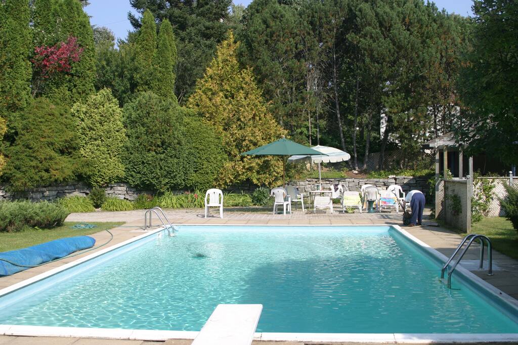 40' x 20' pool.