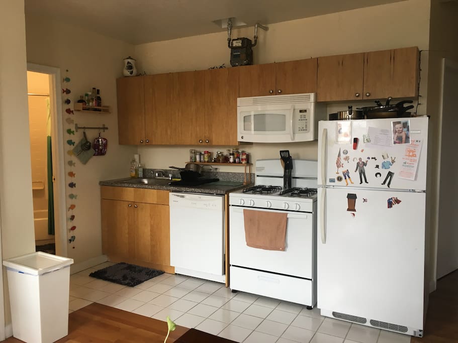 Kitchen is shared with the living room. Dishwasher and gas stove