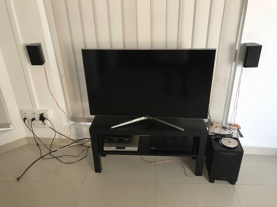 Entertainment System