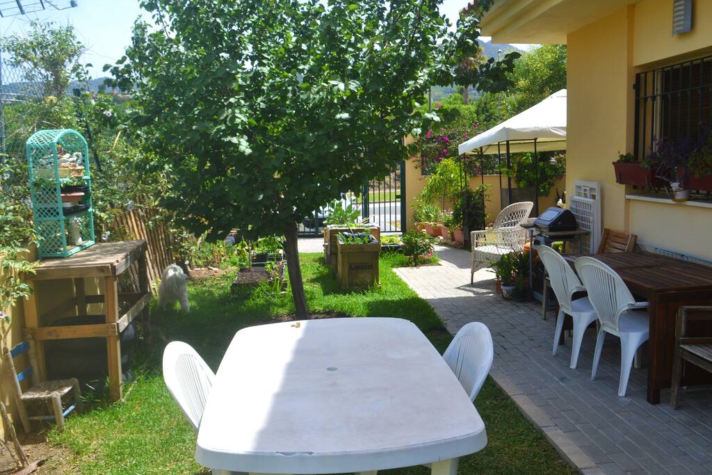 the garden