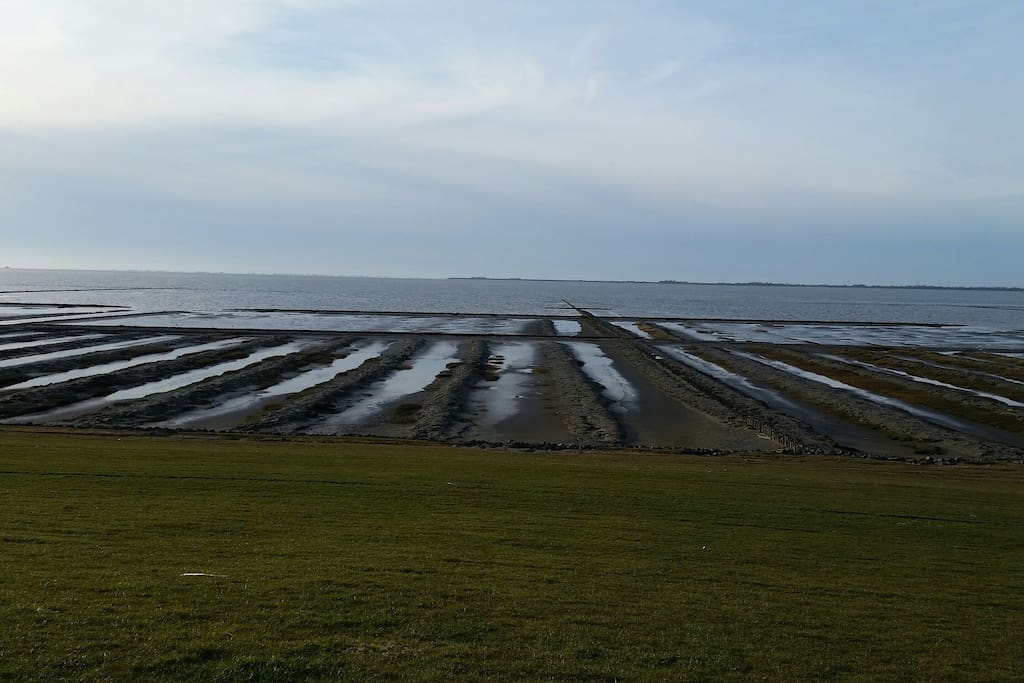 Unsere Deichaussicht auf die Nordsee in 1,5 km Entfernung.