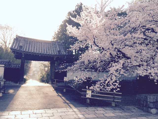 TGK205 4min to subway, 25min from Kyoto Sta.