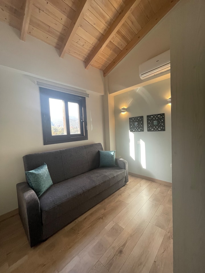 Dormitorio / salón más pequeño