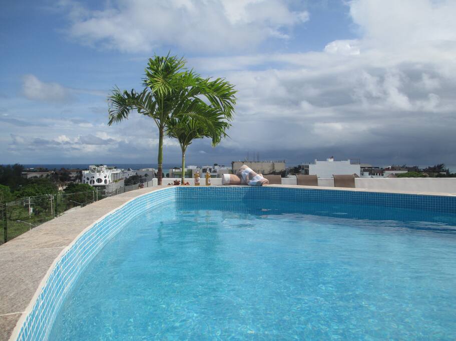 Rooftop swimming pool with ocean views